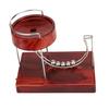 Unique Physics Motion Machine Sculpture Table Decor for Science Enthusiasts