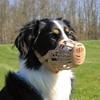 Muselière Pour Chien - TRIXIE - Taille M-L - Plastique - Maille Serrée - Sangle Cuir