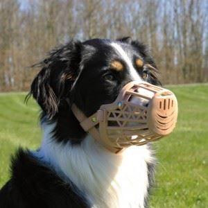 Muselière Pour Chien - TRIXIE - Taille M-L - Plastique - Maille Serrée - Sangle Cuir