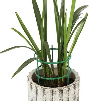 Növénytámasztó karó Kert Növénytámasztó ketrec Virágállványtartó Háztartási kellékek