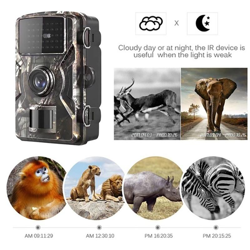 HD 1080P Hunting Trail Camera Wildlife Scouting Infrared Night Vision IP66 Waterproof HD Infrared Tracking Field Detection Camera Outdoor Camcorder
