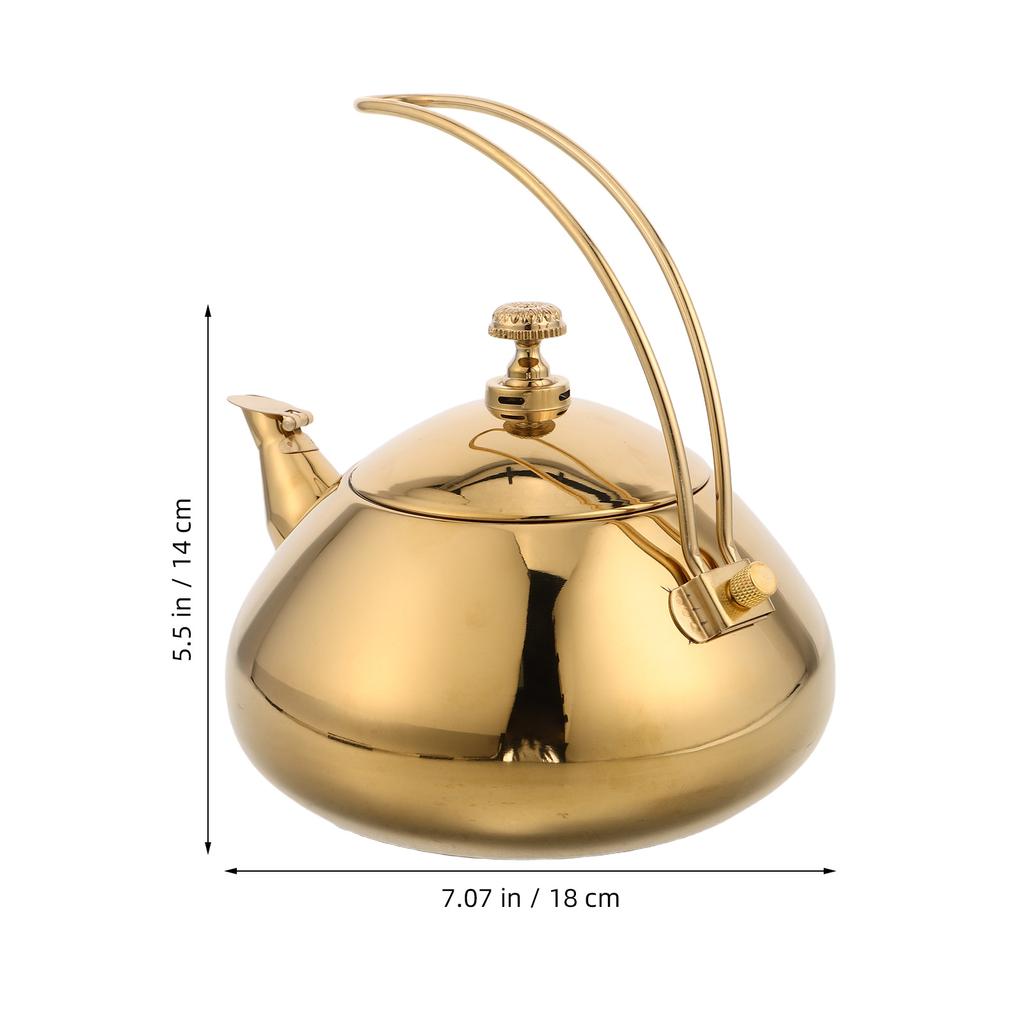 Stainless Steel Tea Kettle 1.5L Ergonomic Handle Induction Compatible Fine Mesh Filter Teapot for Loose Leaf Tea Home Office