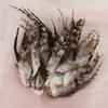 50Pcsdiy Jewelry Accessories Feather Diy Feather Headdress Corsage Hat Shoes Handicrafts Decorative Materials