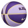 Nike LeBron Two Tone Basketball