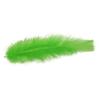 Green Natural Decorative Feathers 9.5cm - 10 pieces