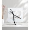 Boymia Pro Tape Extensions Press Plier Stainless Steel Multi-Functional Hair Tools Ergonomic Design 4.5cm Deck Shape