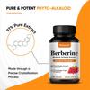 Berberin HCl 500 mg Nahrungsergänzungsmittel, 120 Kapseln mit Kräuterextrakten pro Flasche