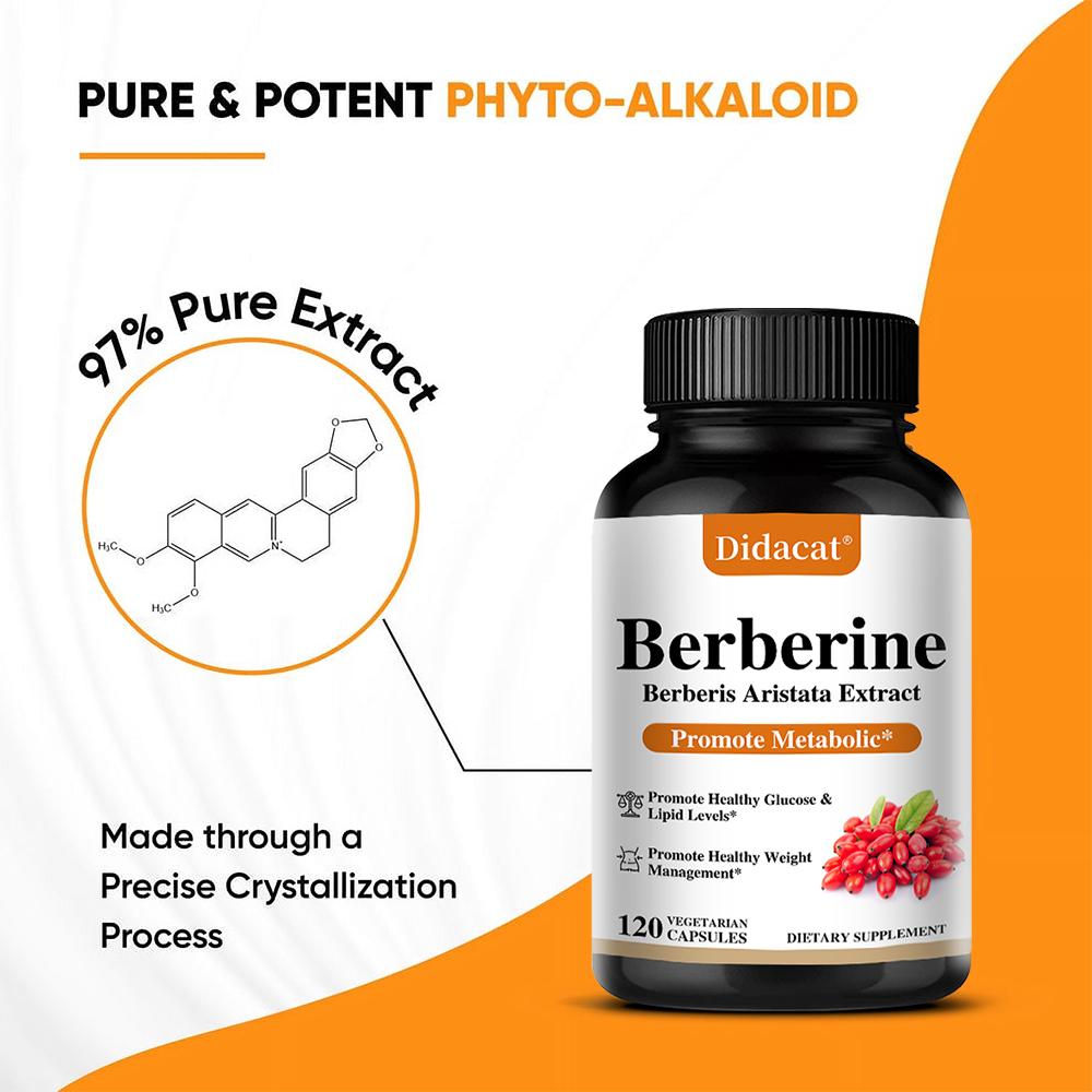 Berberin HCl 500 mg Nahrungsergänzungsmittel, 120 Kapseln mit Kräuterextrakten pro Flasche