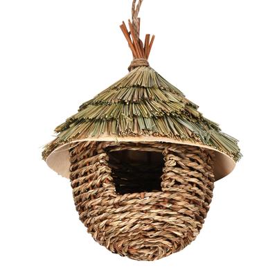 Cage d'élevage d'oiseaux avec échelle et jouets pour aménagement paysager
