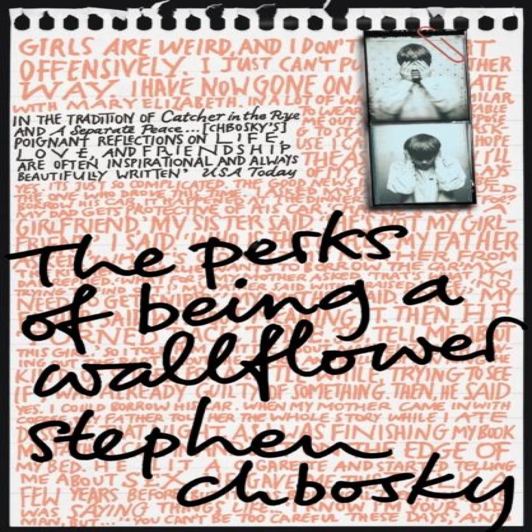 Vielleicht ist es das, was uns ausmacht von Stephen Chbosky Taschenbuch Buch 9781847394071