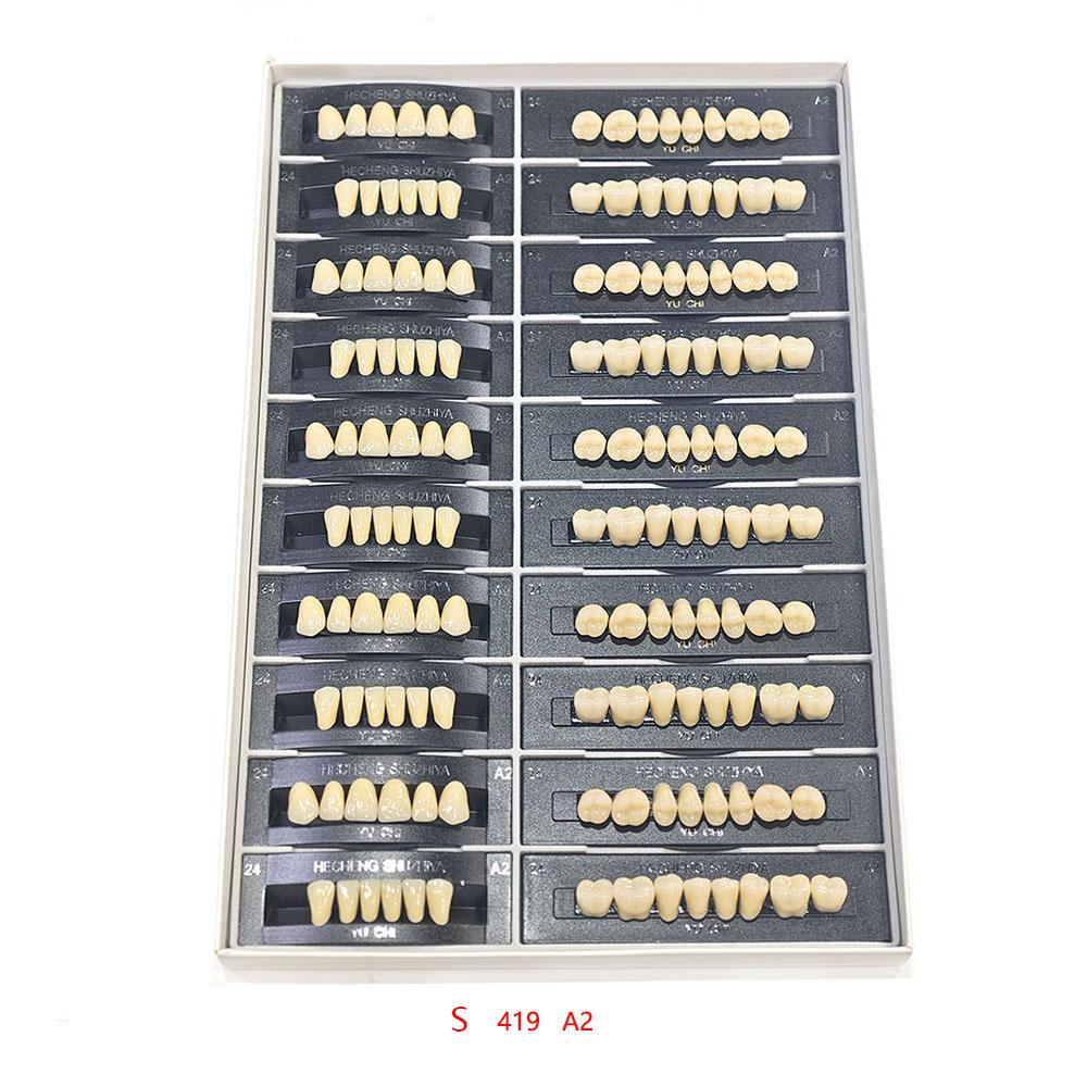 5 Sets/Box Dental Acrylic Resin Teeth 2 Layers Denture 28*1 Full Mouth S/M/L A2 A3 Stability Dentistry Material