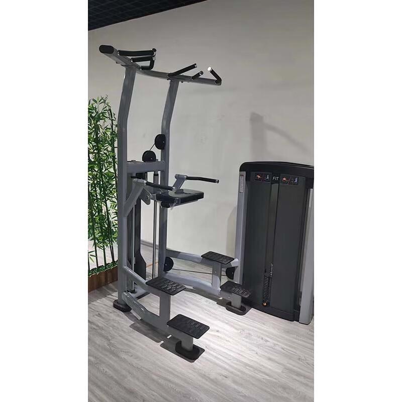 Outdoor Whale Assisted Pull-up & Dip Station