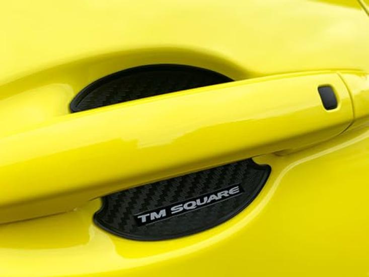 Swift Sport Door Handle Protectors of Left and Right TM-SQUARE ZC31S/ZC32S/ZC33S (Set 2, Doors) TMHP-D01-2P
