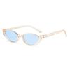 Vintage Mirror Cat Eye Sunglasses Women Men Oval Retro Small Frame Designer Brand Eyewear Female Male