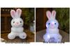 Creative Luminous Rabbit Plush Toy Night Light for Kids