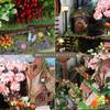 Moin Moin Dollhouse Miniature DIY Kit Sakura Forest House 1/24 Scale with LED Light and Music Box Home Decor Model