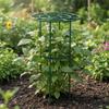 2 Pieces Coated Plant Trellis Rust-Resistant Iron Support with Pointed