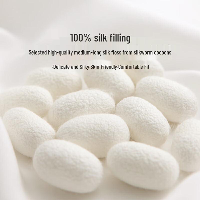 LOVO Luolai 100% Silk Anti-Mite Quilt