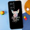 Sphynx Cat For Realme 14 13 12 10 11 Pro Plus GT 6 6T 5 GT7 Pro C55 C51 C21Y C25S C67 C75 C53 C61 Case