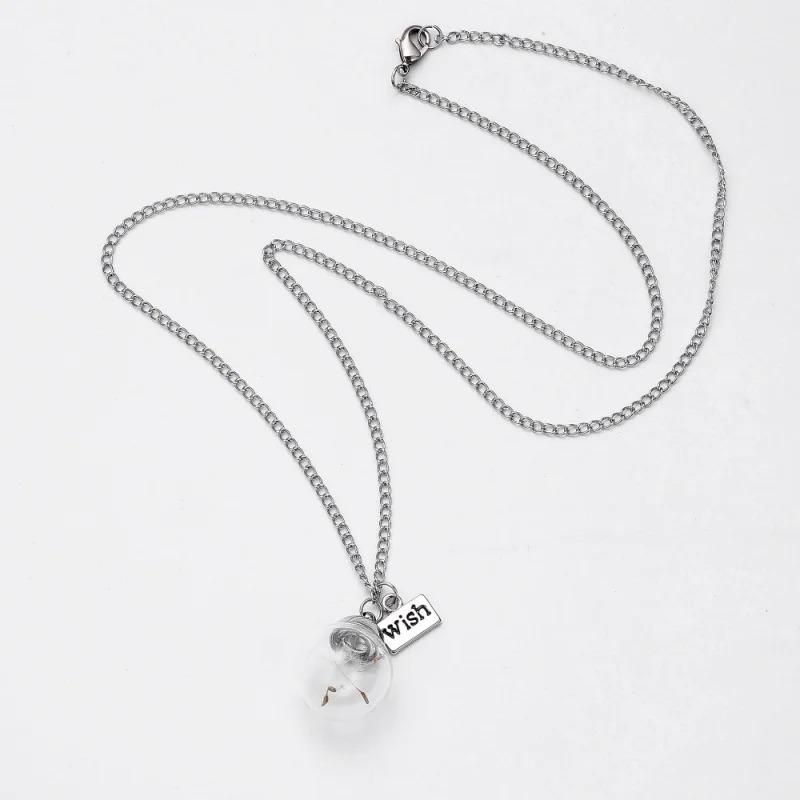 Natural Dandelion Glass Bottle Home Decoration Long Strip Leather Long Chain Pendant