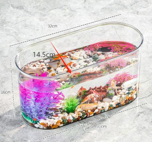 Transparent Oval Fish Tank for Study or Living Room - Small Home Ecological Goldfish Desk Tank