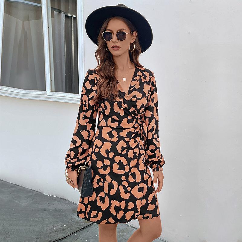 YYFS Women's Fashion Spring Autumn Leopard Print Long Sleeve V-Neck Middle Waistline Casual Dresses