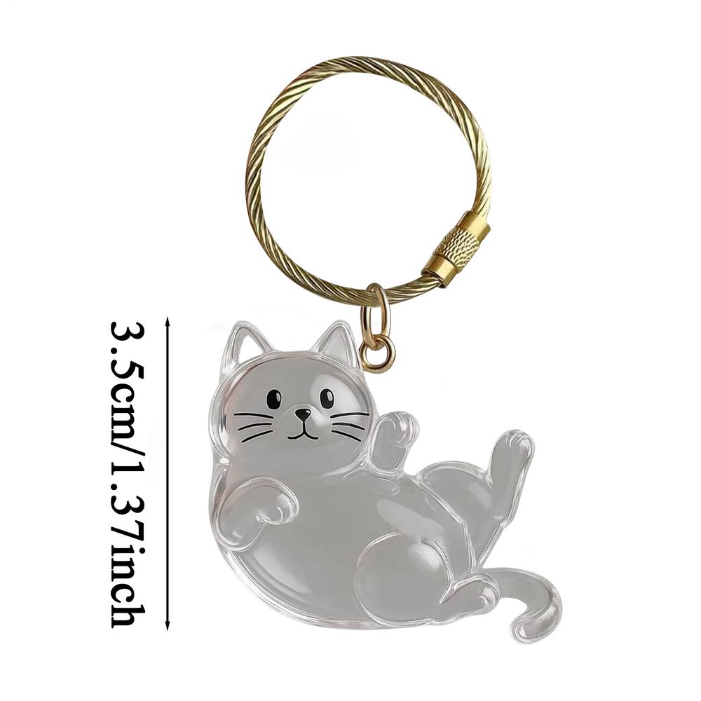 Cute Cat Key Chain Cat Dog Keepsake Hair Keyring Acrylic Pendant Clear Memorial Keychains for Collection Backpack Purse Bag