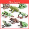 Forest Animal Pvc Figures With Authentic Frog Designs For Kids Learning And Play