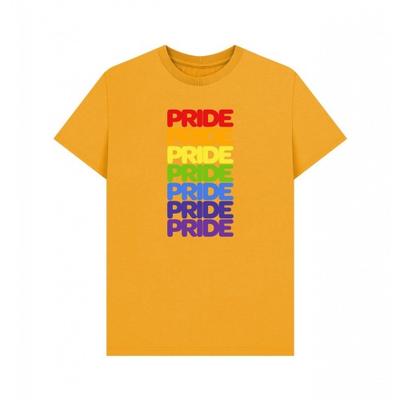 Apoh Unisex Adult Pride Rainbow T-Shirt