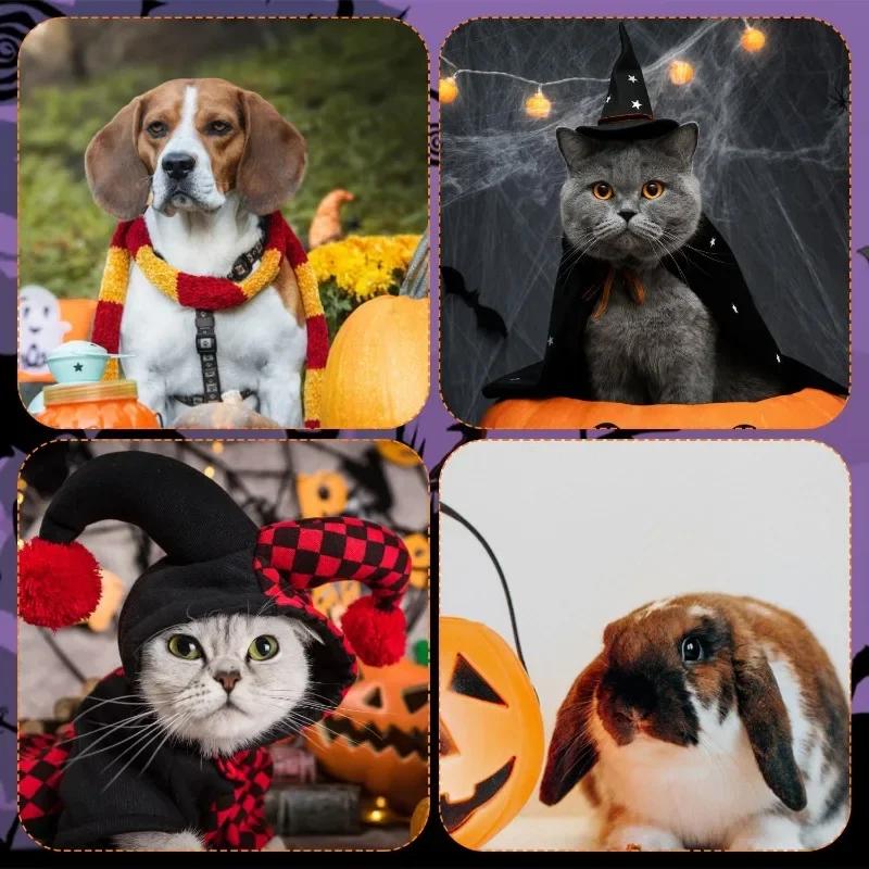 Fashion Cat Clothes Bat Wings Funny Dog Costume Artificial Wing Pet Cosplay Prop Halloween Christmas Cat Costume Pet Products