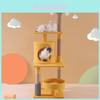 Cat Tree With Tunnel And Scratching Board Teddy Plush For Indoor Cats