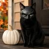 Comfortable Cat Face Mask Bat Mask, Funny Helmet, Hat Cosplay Costume, Adjustable Pet for Holiday Costume Gear Halloween Party Photo Props,