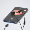 Xiaomi Mi Noise Cancelling In-Ear Headphones Type-C