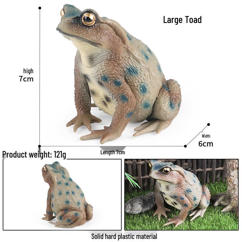 Pediatric Learning Model: Plastic Animal Growth Cycles - Frog, Butterfly, Rooster, Sea Turtle, Chinese Horseshoe Crab