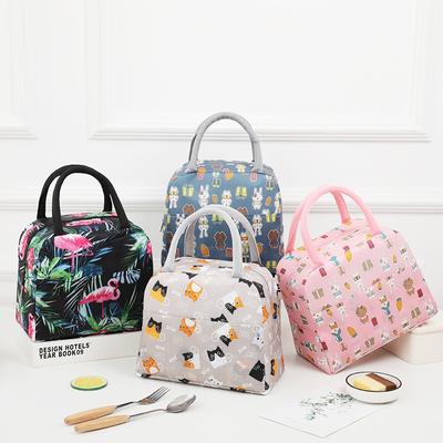 Bunte, isolierte Lunchtasche mit großem Fassungsvermögen und verdickter Aluminiumfolie für Lebensmittel und Obst. Isolierte Lunch- und Aufbewahrungstaschen