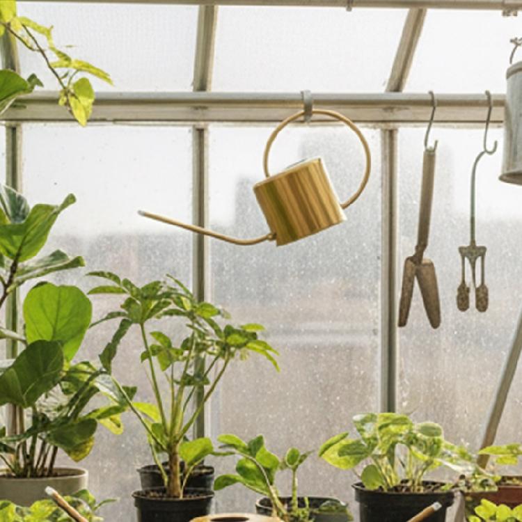 Watering Can Small Watering Can for Indoor Plant Stainless Steel Indoor Watering Can with Long Spout 1300ml