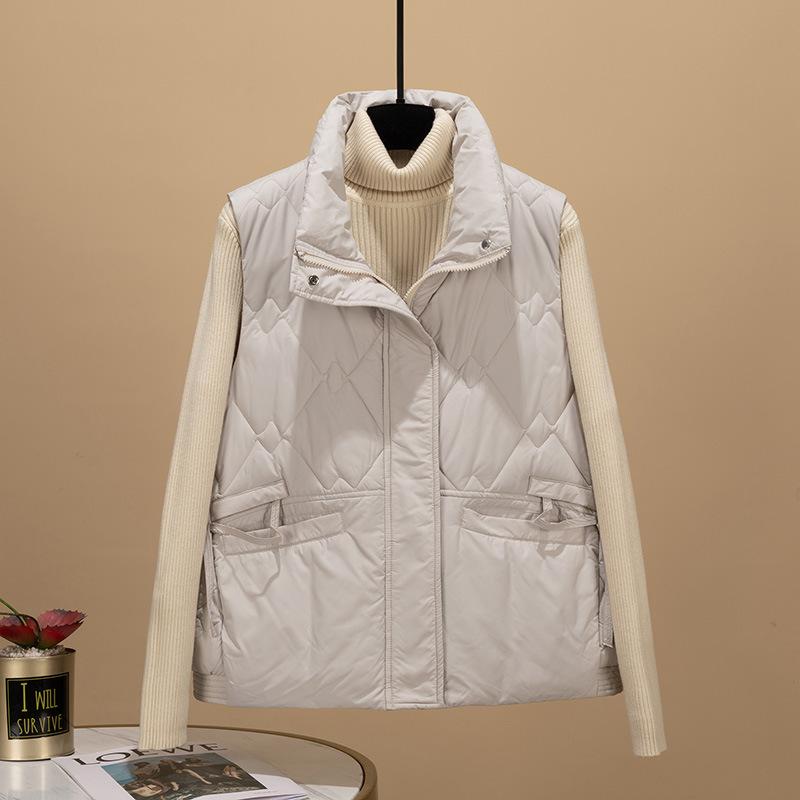 Autumn and Winter New Vest Women's Short Fashion Cotton Vest Loose Thickened Student Vest