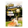 Dog Ball, Soccer Ball Shape, Super Durable TPU Coating, Eliminates Chewing Habits, Pulling Play, Suitable for All Dog Breeds, Safe and Safe
