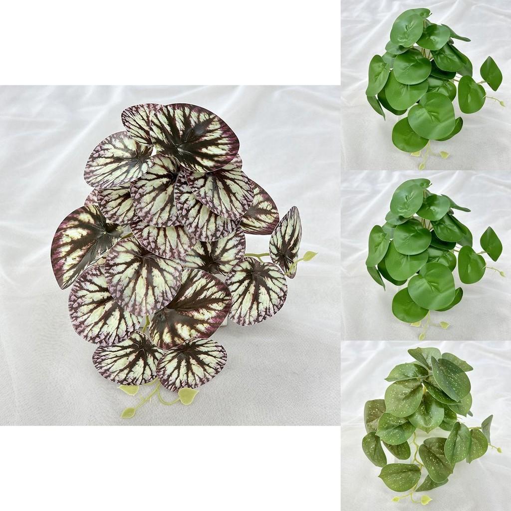 Faux Green Plants With Colocasia Leaves For Home Staging And Photo Props