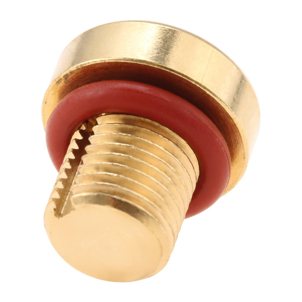 1Pc Brass Car Coolant Water Tank Expansion Drain Screw Plug 17111712788 11537793373 for BMW 128i 135i 318i 318ti 320i X5 X6 Z4 Oil Drain Plugs 3