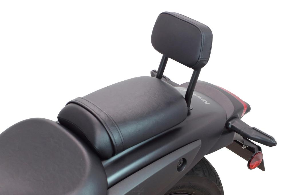 Spezialteile TAKEGAWA Rückenlehnen-Kit Modell Eliminator/SE (2023 8BL-EL400A) 09-11-0416