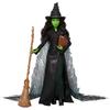 Mattel Universal Pictures A lovely deluxe Elphaba fashion doll inspired by the with removable outfit and 4 Wick movie, accessories.