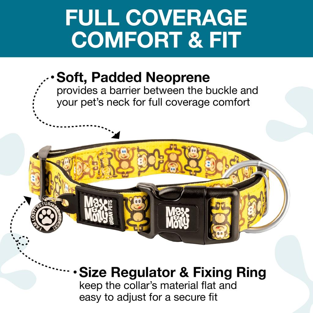 ROOKCRAN Max Molly Large Collared Monkey Dog Stylish and Ideal for Training Your 119719 & Collar, Cute, Pet,