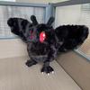28cm Mothman Plush Toy Cute Cartoon Soft Pillow With Embroidered Eyes Birthday Gift
