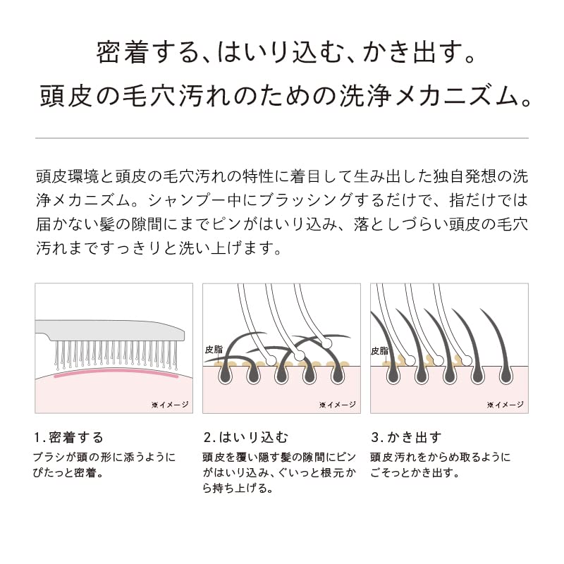 Store ReFa ION CARE BRUSH with shopping bag [Official Exclusive]