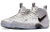 Nike Air Foamposite Pro 'All Star Swoosh Pack' AO0817-001