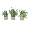 3 Pack Artificial Pot Plant Decorative Fake Faux Potted Eucalyptus Plants for Desktop Office