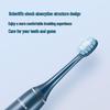 FLYCO FT7105 Smart Sonic Electric Toothbrush CN plug (adapter included)