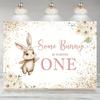 1 Girl Rabbit Theme First Birthday Background Cloth There Is a Little Rabbit Turning One Year Old Daisy Photography Background