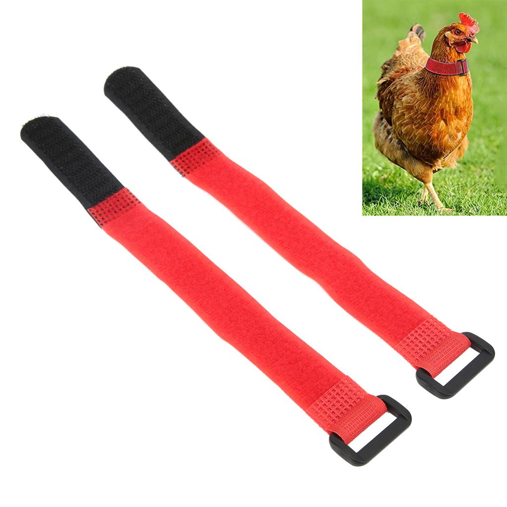 2 Pack Chicken Collar Anti Hook Noise Free Nylon Chicken Neck Belt for Roosters CockerelRed Upgraded